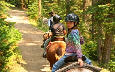 Family Fun Near Foxhunt